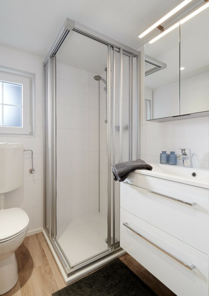 Modernes Badezimmer mit Dusche, Waschtisch und Toilette