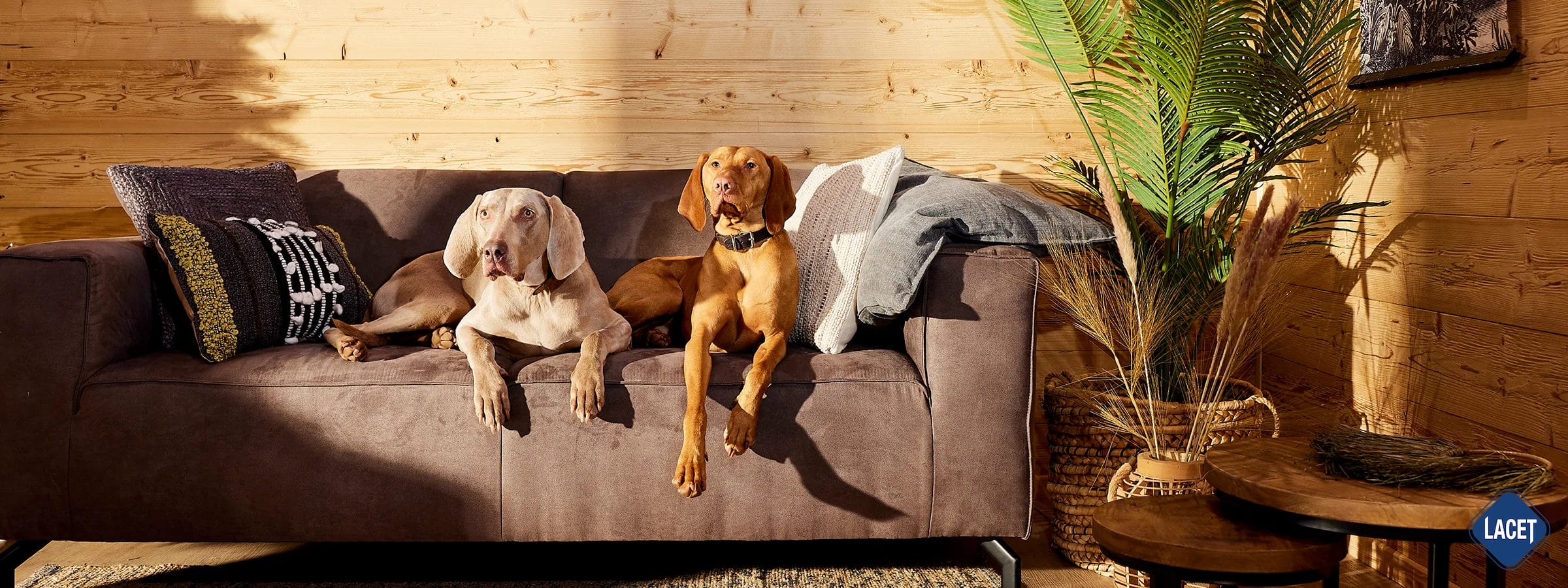 lacet-mobilheimhersteller-nrw LACET Niederrhein: Mobilheime made in Germany